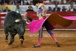 Las corridas tampoco podrán dar muerte al animal en el ruedo.