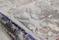 Un hombre intentó contrabandear más de 100 serpientes vivas en China continental. 