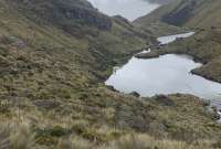 Personal de Etapa confirmó que dentro del Parque Nacional El Cajas se registra un incendio forestal. 