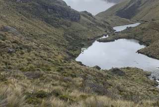 Personal de Etapa confirmó que dentro del Parque Nacional El Cajas se registra un incendio forestal. 