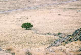 Estas son las afectaciones por la sequía e incendios forestales, en agricultura y ganadería, en Ecuador. 