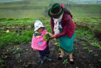 En Quito se realizó el Primer Comité Intersectorial para la Prevención y Reducción de la Desnutrición Crónica Infantil.