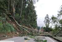 Luego de que se identificaran 1.000 árboles en riesgo de caída, el Municipio implementa un plan de tala y reforestación. 