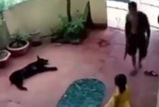En redes sociales se hizo viral el video de este perro defendiendo a su pequeña amiga a pesar de haber sido atacado.