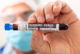 ¿Qué se sabe del virus de Marburgo?