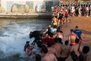 El toro cayó al agua y murió ahogado