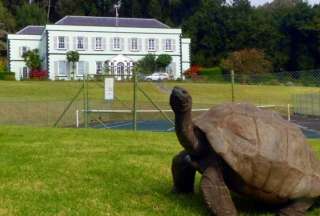 Jonathan es la tortuga más longeva del mundo con 190 años