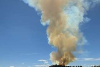 Incendio cerro Auqui está controlado