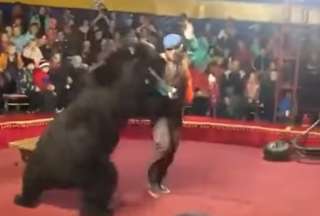 Un oso atacó fuertemente a su domador. 