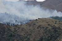 En tres días, el incendio consume 90 hectáreas de bosque.