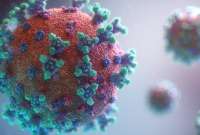 Familiares de fallecidos por coronavirus amenazan con demandar al Gobierno británico