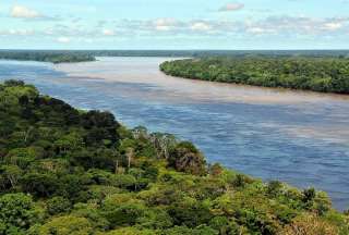 Periodista desapareció en la selva brasileña