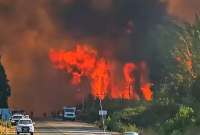 Los incendios en la Patagonia, Argentina, han afectado a más de 20.000 hectáreas. 