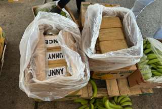 Los bloques de cocaína se encontraban ocultos en cajas de banano. 