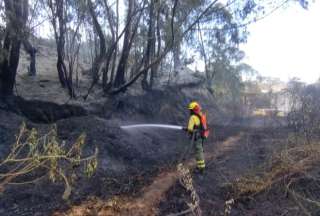 El ECU 911 reportó incendios en seis sectores de la capital. 