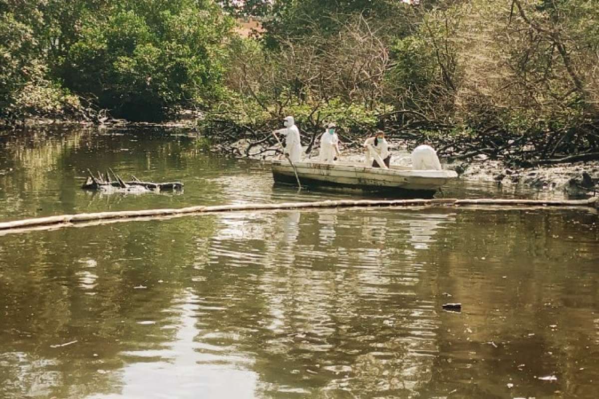 El Ministerio de Ambiente implementó medidas de reparación por el derrame de aceite en El Salado, Guayas.