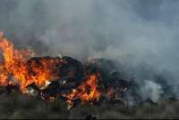 Cuatro ciudadanos fueron identificados como presuntos autores de incendios forestales en el Azuay. 