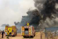 Un incendio forestal se reportó hoy en Guayaquil. 