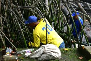 Según datos del Municipio de Guayaquil, al día 80 sacos de desechos se retiran del ramal del Estero Salado. 