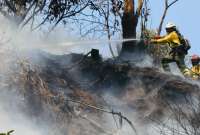 El Cuerpo de Bomberos confirmó que el incendio de Guápulo se encuentra liquidado.