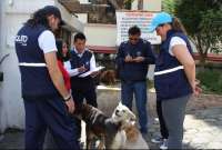 Este sábado 6 de julio se realizará un censo de animales de compañía en Chillogallo.