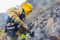 El incendio en las laderas del Pichincha continúa activo. Ya son más de 25 hectáreas consumidas.