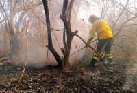 La ola de calor y la vegetación seca propició múltiples focos de incendio. 