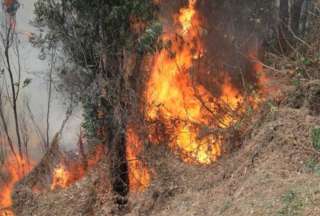 ¡Detenido! supuesto pirómano causante del incendio en Guápulo