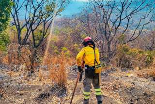 El Ministerio de Educación autorizó la suspensión de clases en el Distrito Ceibos de Guayaquil por un incendio forestal.