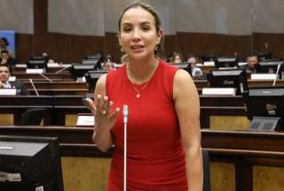 La asambleísta Yadira Vargas, durante una invervención en el Pleno del Legislativo. 