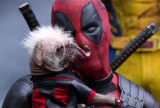 ¡Alerta de Spoiler! Te contamos más sobre Dogpool, la tierna perrita de la peli Deadpool &amp; Wolverine
