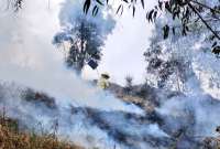 Estos son los incendios forestales activos en Ecuador. ¿Cómo está la situación en Loja?