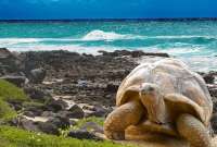 El diario The New York Times ubica a las Islas Galápagos como el segundo destino recomendado para este 2025.