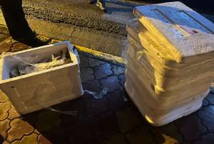 Los paquetes de marihuana estaban ocultos al interior de un cooler.