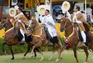 Más de 10 mil caballos serán sacrificados en Australia