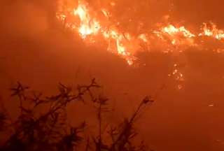 Bomberos Quito atendió un voraz flagelo en Guambi. Las autoridades rechazan estos hechos provocados por el ser humano.