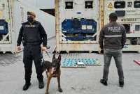 Policía intercepta más de 36 kilos de cocaína que pretendían llegar a Bélgica