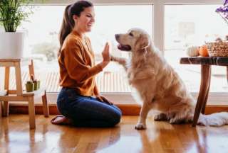 Expertos revelan ‘tips’ para disfrutar de la compañía de perros y gatos, aún si eres alérgico