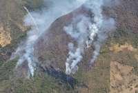 La ministra Inés Manzano detalló que los autores de los incendios forestales serán investigados por cuatro cargos.