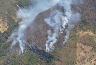 La ministra Inés Manzano detalló que los autores de los incendios forestales serán investigados por cuatro cargos.