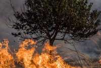 Sudamérica en llamas debido a los incendios forestales