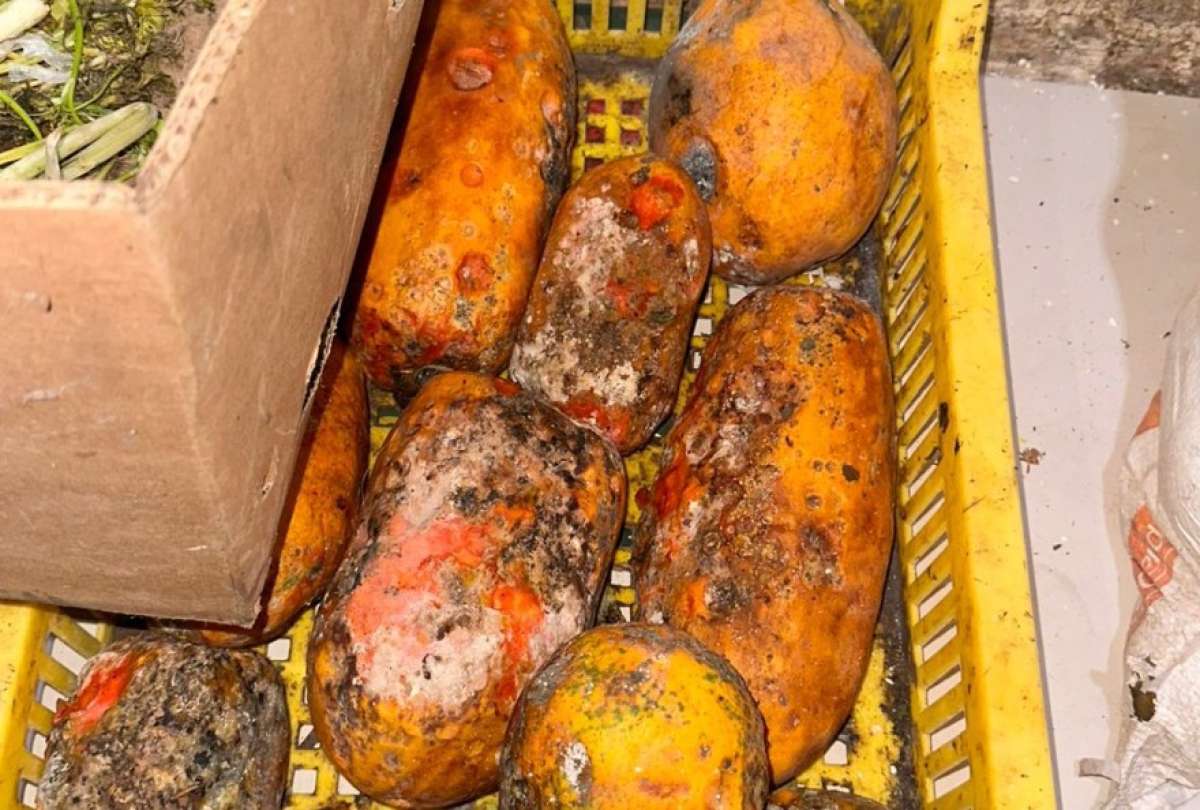 La Arcsa clausuró dos locales que funcionaban en malas condiciones higiénico sanitarias. En el sitio encontraron cucarachas y plagas.