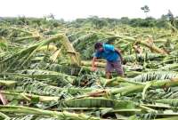  El tifón Yagi ha dejado fuertes inundaciones y deslizamientos de tierra. Este es el balance. 