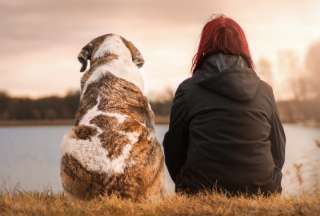 Este 21 de julio se celebra el Día Mundial del Perro