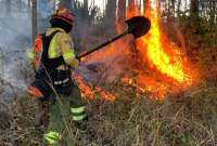 El alcalde de Quito, Pabel Muñoz, señaló que quienes provoquen incendios forestales pagarán una multa de hasta USD 34.500.