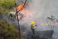 Este es el balance de incendios forestales en Colombia. 