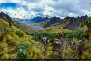 Actualización de biodiversidad florística en el valle interandino del Complejo Montañoso Mojanda.