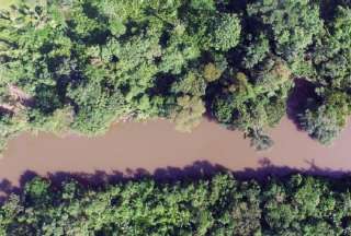 El país se convierte en el cuarto del mundo en unirse a la iniciativa global  Coalición LEAF.