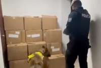 La droga estaba escondida en cajas de pinturas.