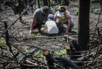 Las familias se juntaron en el parque Metropolitano de Quito para plantar árboles en zonas destruidas por un incendio forestal.